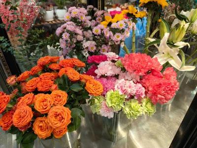 年銷花卉為春節添彩，禮品花卉銷售迎熱潮